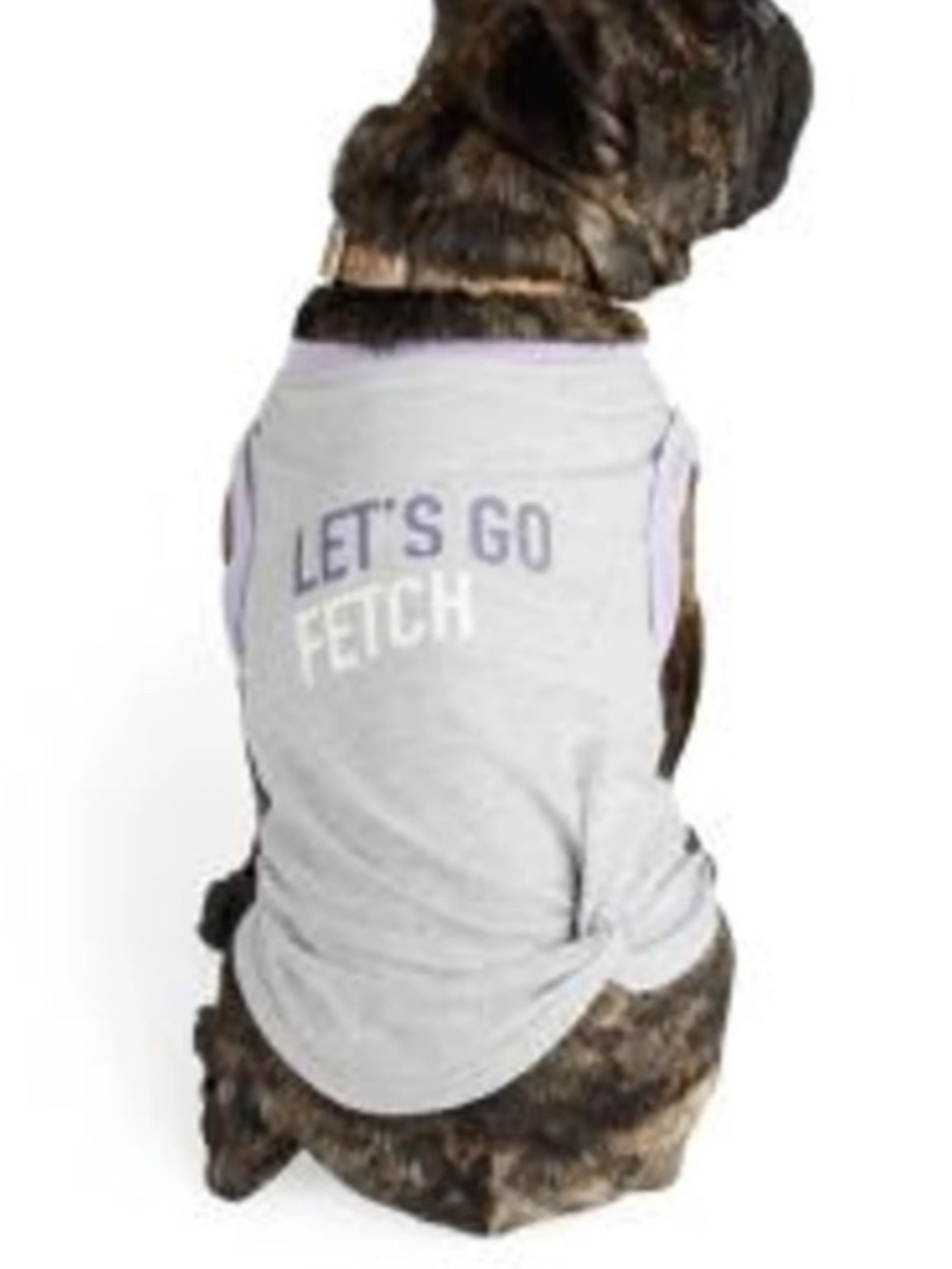 Reddy “lets go fetch” dog t-shirt L